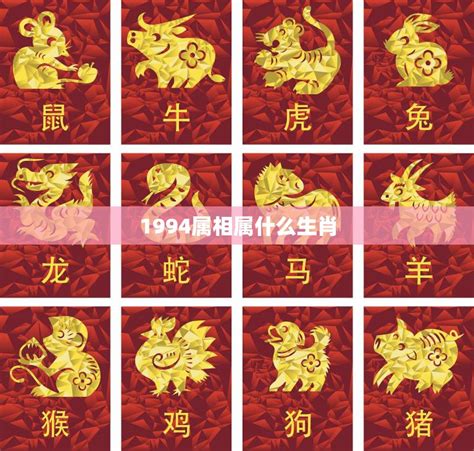 1994年屬什麼|1994 年出生属什么生肖